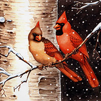 Cardinals on Birches illustration