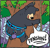 tension Bear cartoon